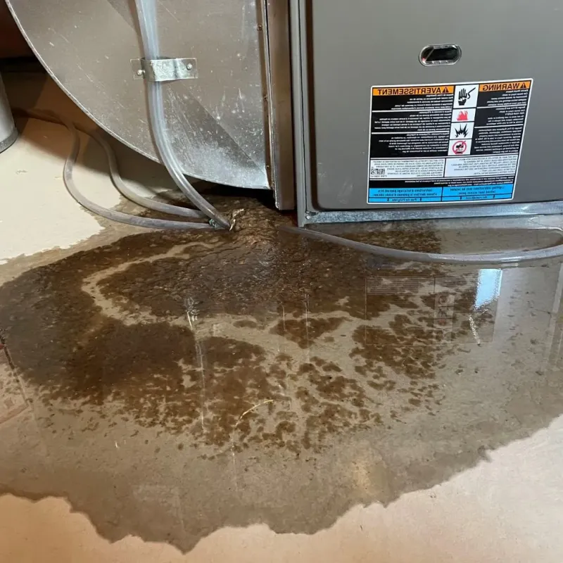 Pipe Burst and Leak Restoration in Panguitch, UT